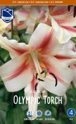 Лилия O.T. Olympic Torch (Lefeber)