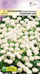 Матрикария исключительная Снежный шар 0.1г